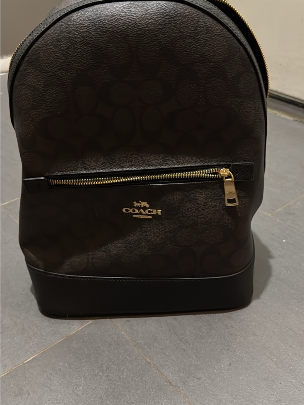 Coach womenβs Dark Brown Signature Backpack with Gold Hardware